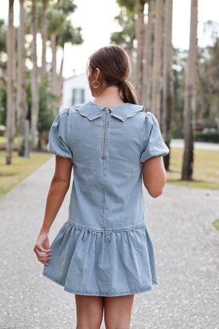 Marielle Denim Mini Dress